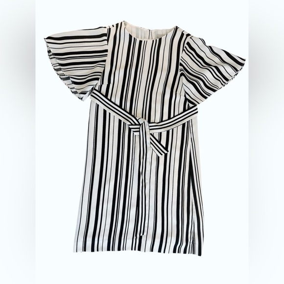 H&M | Shift Dress with Tie Belt  | Size: US 2 - Picture 5 of 9